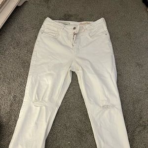 Pilcro and the Letterpress by ANTHROPOLOGIE